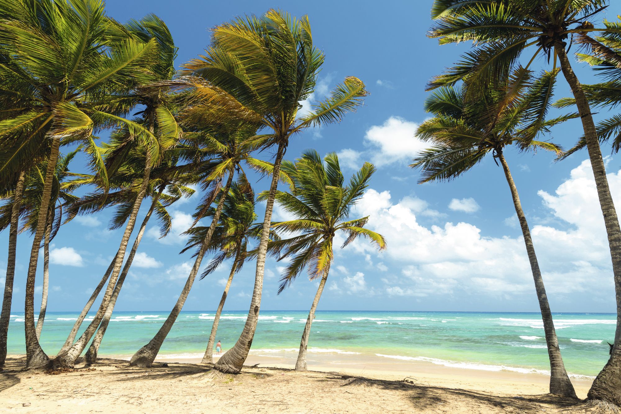 When is the best time to visit Punta Cana | TUIHolidays.ie