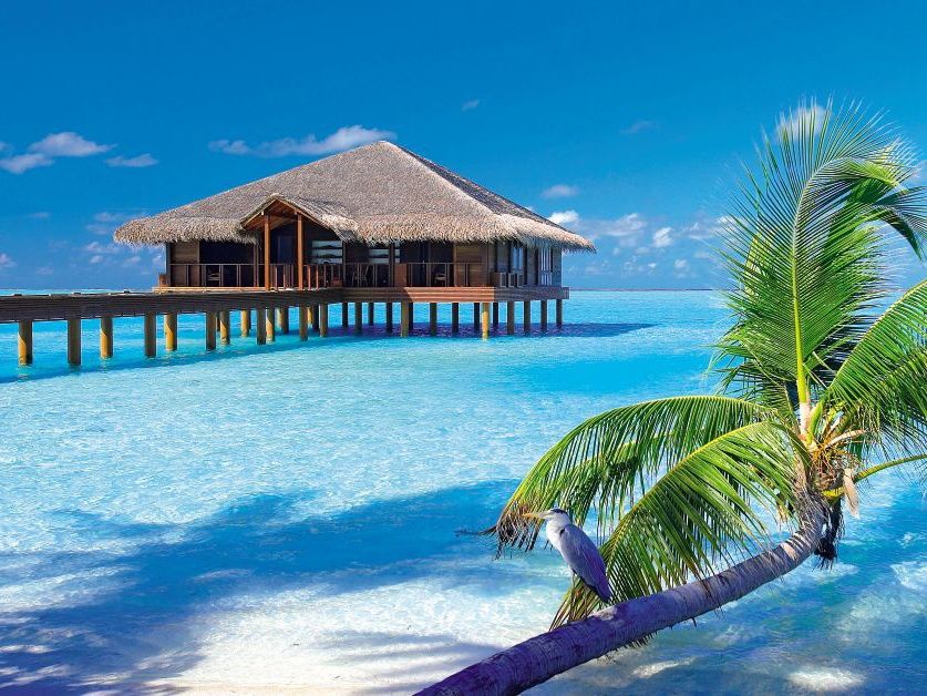 When is the best time to visit Maldives | TUIHolidays.ie